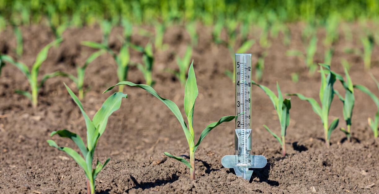 Rain Gauge Farming Generic